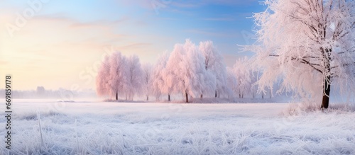 Frosty morning Trees and grass covered in hoarfrost © AkuAku