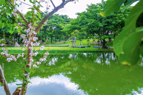 Chulalongkorn University Centenary Park in Bangkok, Thailand