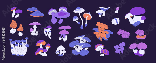Poisonous, toxic mushrooms set. Psychedelic inedible fungi. Various hallucinogenic bolete: agaric, amanita, false honey fungus. Venomous nature, fairy toadstools. Flat isolated vector illustration