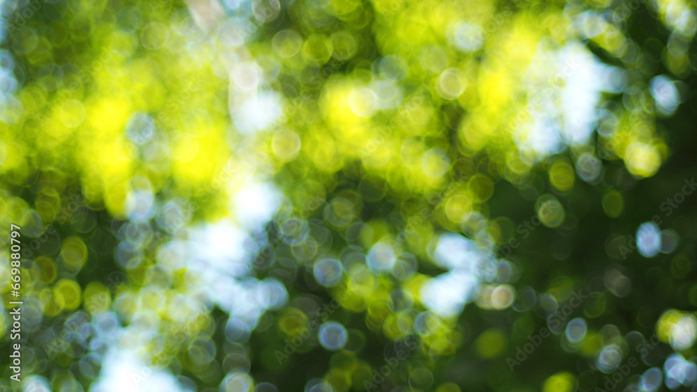 Abstract defocused green background Abstract defocused green background
