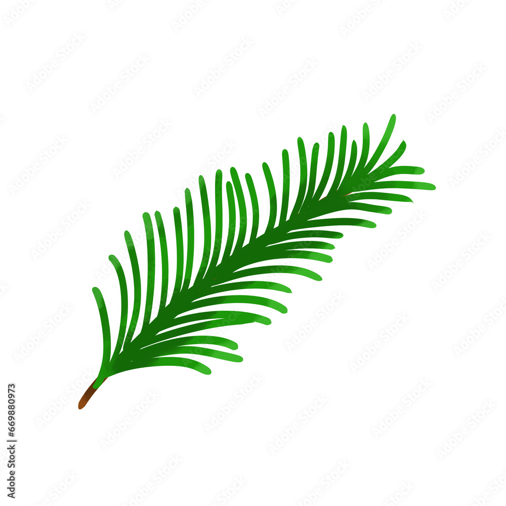fern leaf isolated on white cute watercolor clipart fern leaf isolated on white cute watercolor clipart
