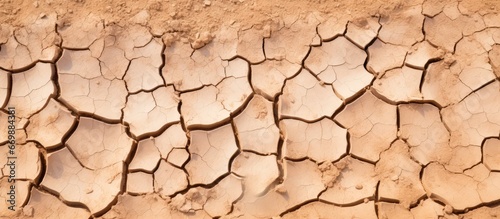 Cracked and dried earth background symbolizing global warming and drought