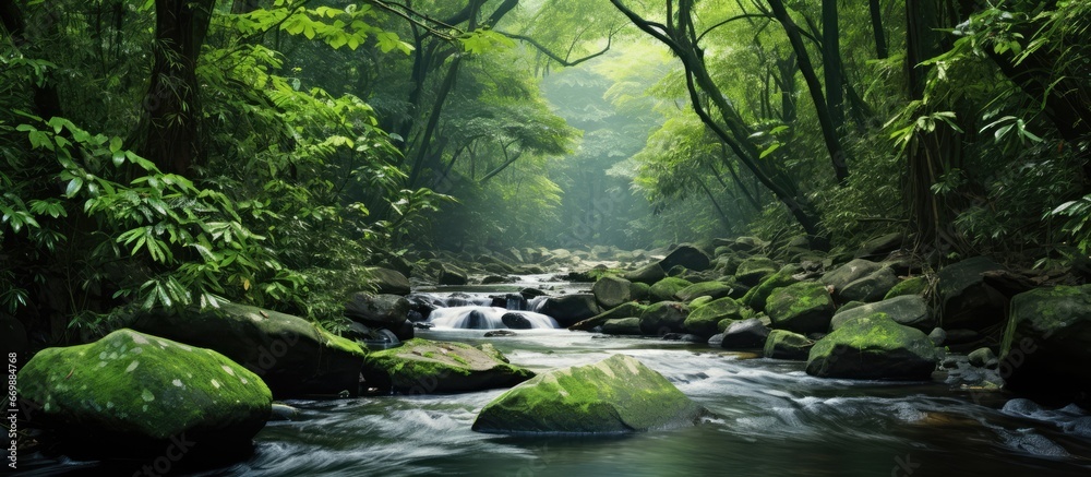 Swift moving creek in tropical rainforest