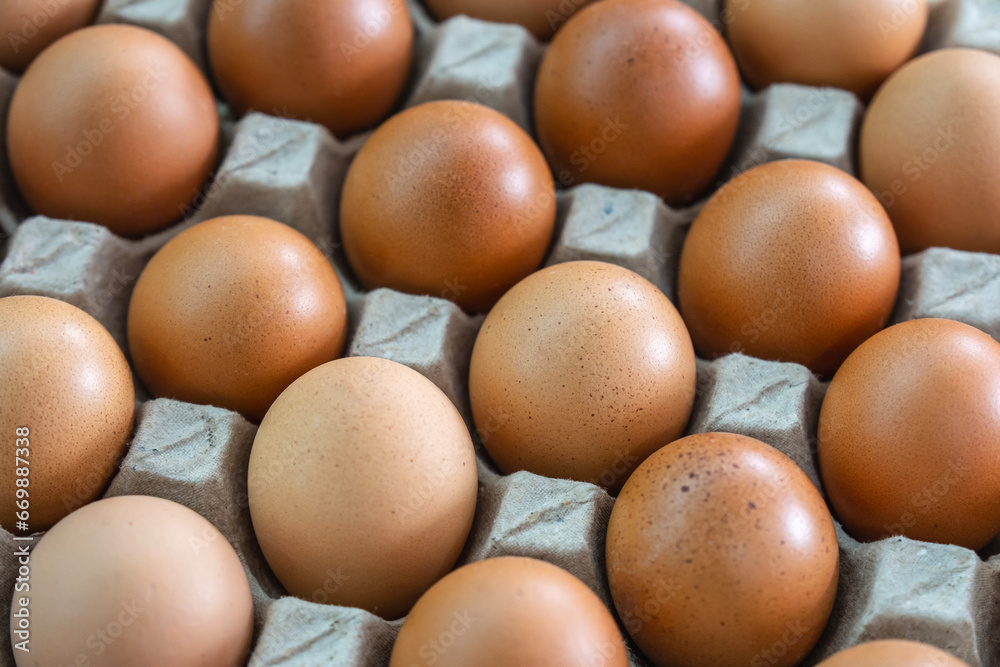 Open egg box with brown eggs. Fresh chicken eggs in a paper tray carton or egg container with copy space. Open egg box with brown eggs. Fresh chicken eggs in a paper tray carton or egg container with copy space.