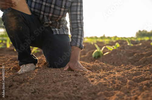 Agriculture with tablets in the field. farmer checking soil health before the growth seed of vegetable or plant seedling. Agriculture, Smart farm, organic gardening, planting, or ecology concept.