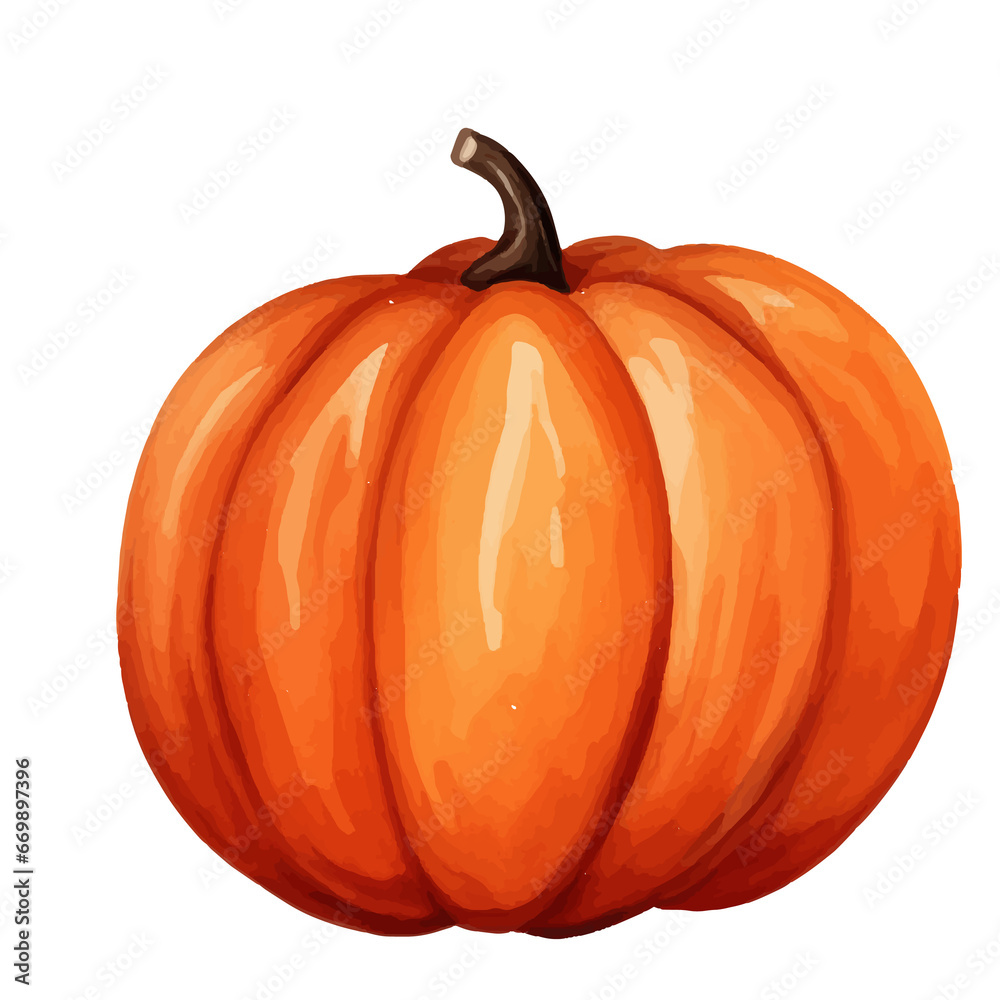 Obraz premium pumpkin isolated on white background