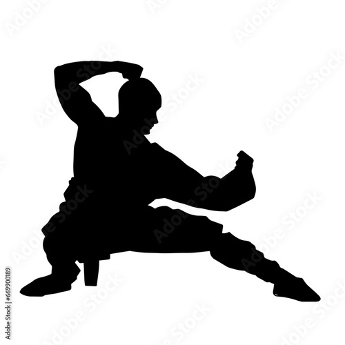 Silhouette of a man in oriental martial art pose. Silhouette of a male in martial art move.