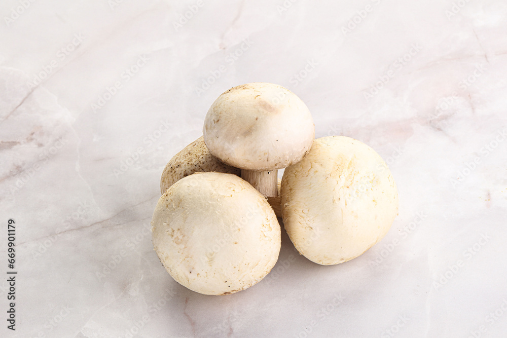 Fototapeta premium Natural organic ripe champignon mushrooms