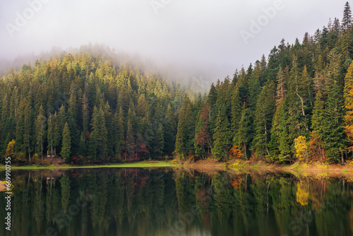 Fototapeta Naklejka Na Ścianę i Meble -  misty landscape with lake in fall season. overcast sky above the trees reflection on the water surface