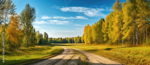 Forests edge with a dirt road Autumn view