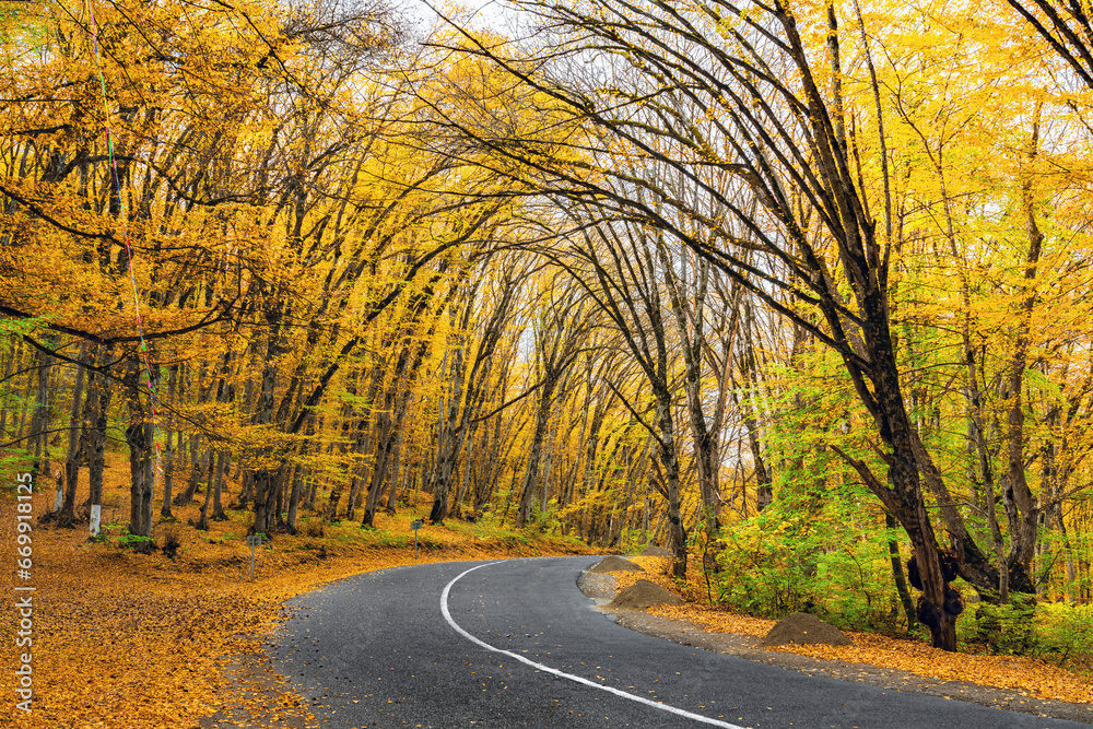 Fall color trees on road in Caucasus mountain of North Azerbaijan