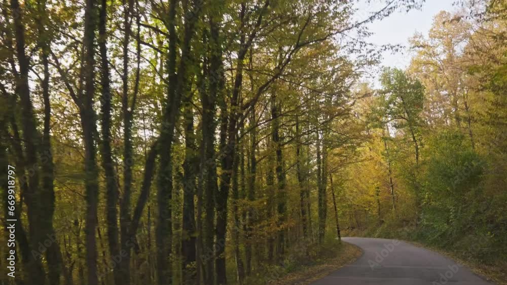 Car journey autumn forestry country road drive plate shot windscreen Car journey autumn forestry country road drive plate shot windscreen