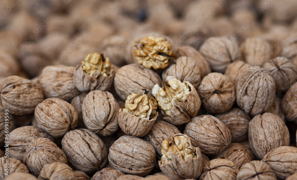many walnuts close-up