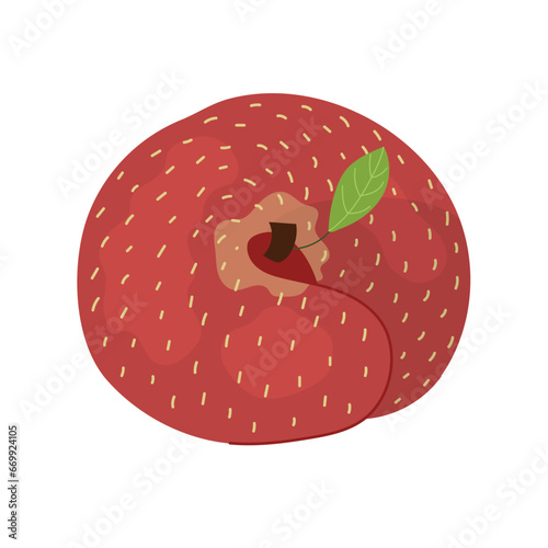 Donut flat peach print in cartoon style. Fresh fruit element isolated on white background. Organic healthy food clipart. Vector illustration