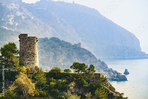 Coast view with Pine Tower  Andalusia Spain.