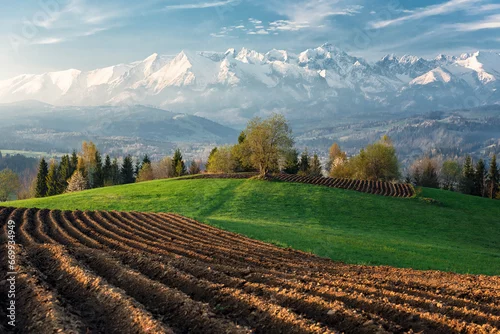 Obraz POranek pod Tatrami