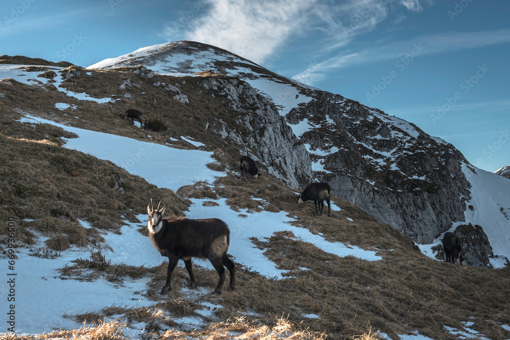 Tatry WYsokie