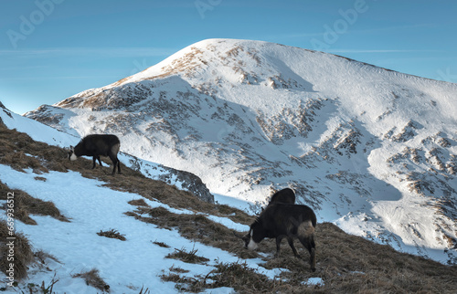 Obraz na płótnie Tatry WYsokie w salonie