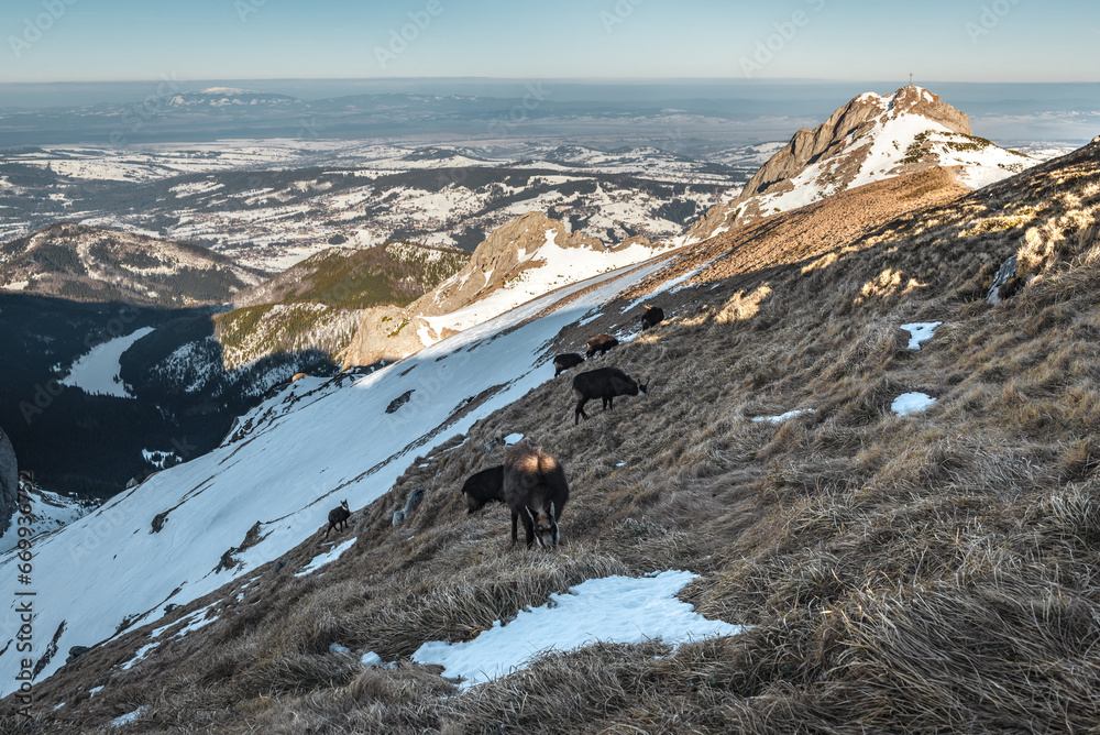 Tatry WYsokie
