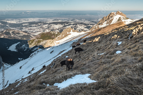 Obraz na płótnie Tatry WYsokie w salonie
