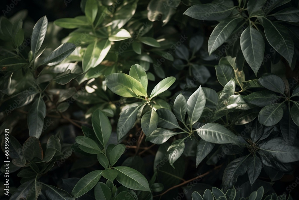 Close-up of luscious foliage. Generative AI