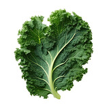 Lifelike Kale, on transparent background.
