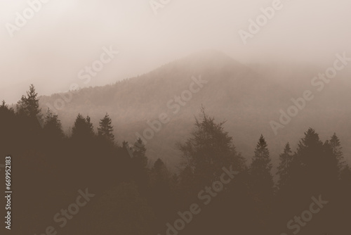 Dark silhouette of trees. Foggy morning forest. Mountains in the haze. Peace of nature. Dawn in the forest and mountains. The silence of the sleeping mountains.