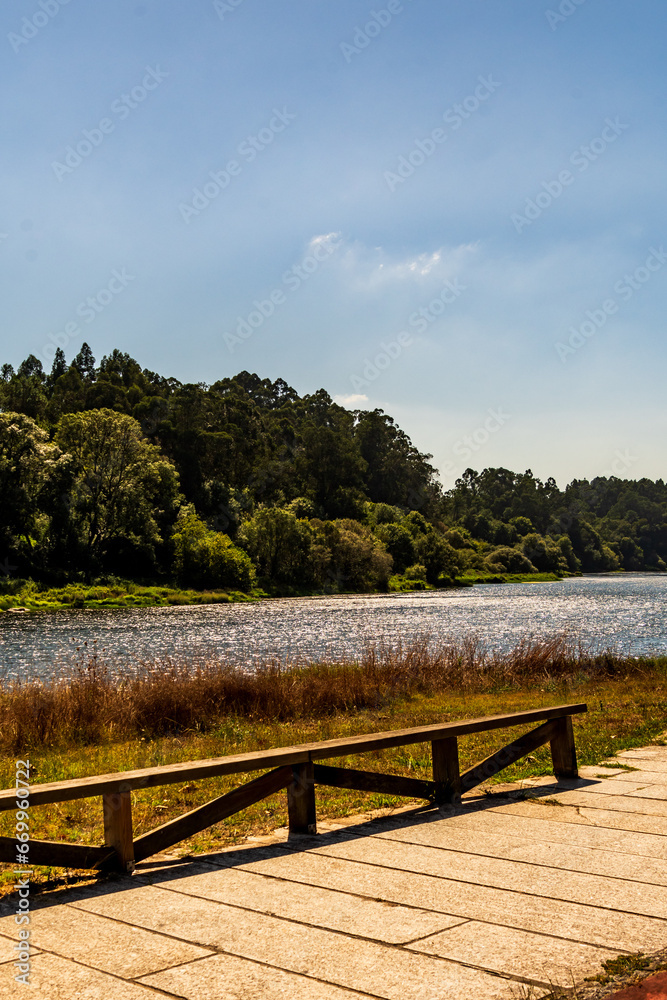 Río rodeado de flora en Galicia.