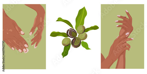 Shea Collection. Leaves of shea elements. Hand with moisturizer. Element for spa, wellness and relaxation.