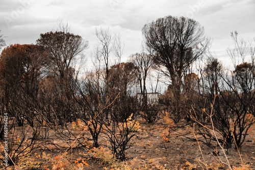 Incendis Saint André