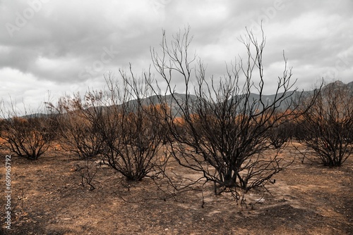 Incendis Saint André