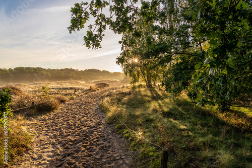 Germany, Hamburg, Boberger Dunes at sunrise