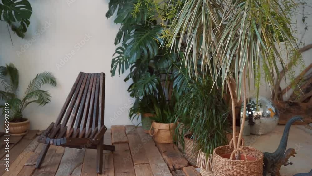 room with a wooden chair and tropical plants room with a wooden chair and tropical plants