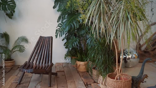 room with a wooden chair and  tropical plants