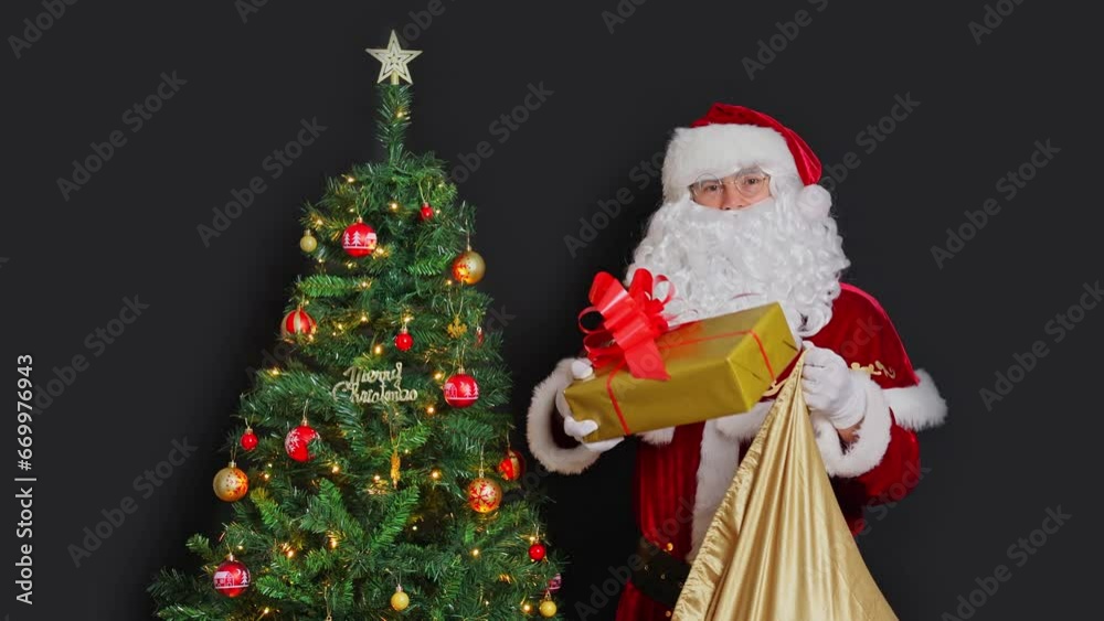 Santa Claus takes a gift from a bag and offers it. Stands next to the Christmas tree on a black background. Santa Claus takes a gift from a bag and offers it. Stands next to the Christmas tree on a black background.