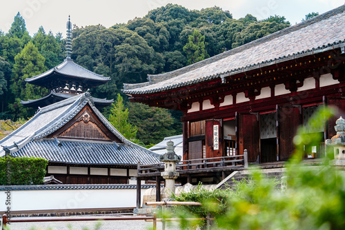 【奈良県】葛城市 當麻寺 (2023/10/17撮影)