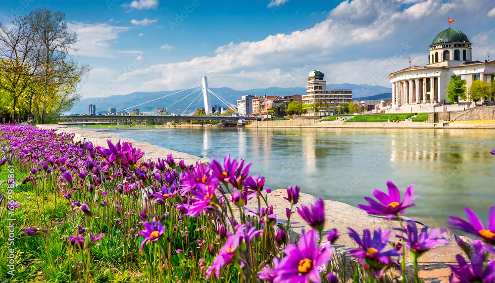Obraz na płótnie blooming violet flowers on the shore of vardar river exciting spring cityscape of capital of north macedonia skopje with archaeological museum colorful view of art bridge w salonie