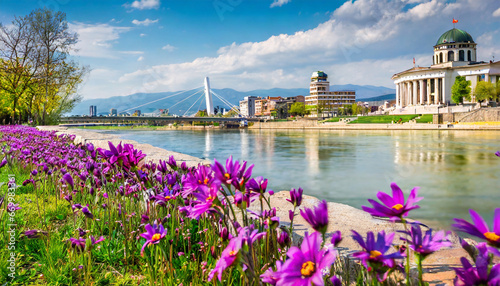 blooming violet flowers on the shore of vardar river exciting spring cityscape of capital of north macedonia skopje with archaeological museum colorful view of art bridge photo