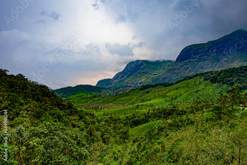 view of mounatin landscape covered with tea plantaion from Munnar, Kerala, India