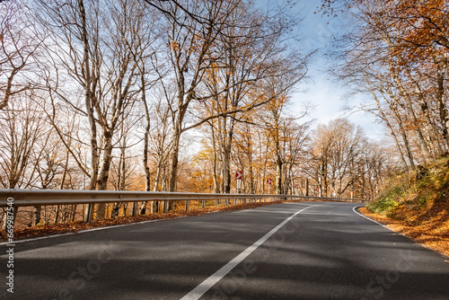 Road through the autumn forest