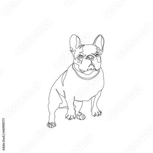 Dog pug, continuous line drawing, a pet small tattoo, pug-dog print for clothes, silhouette one single line on white background, isolated vector illustration.