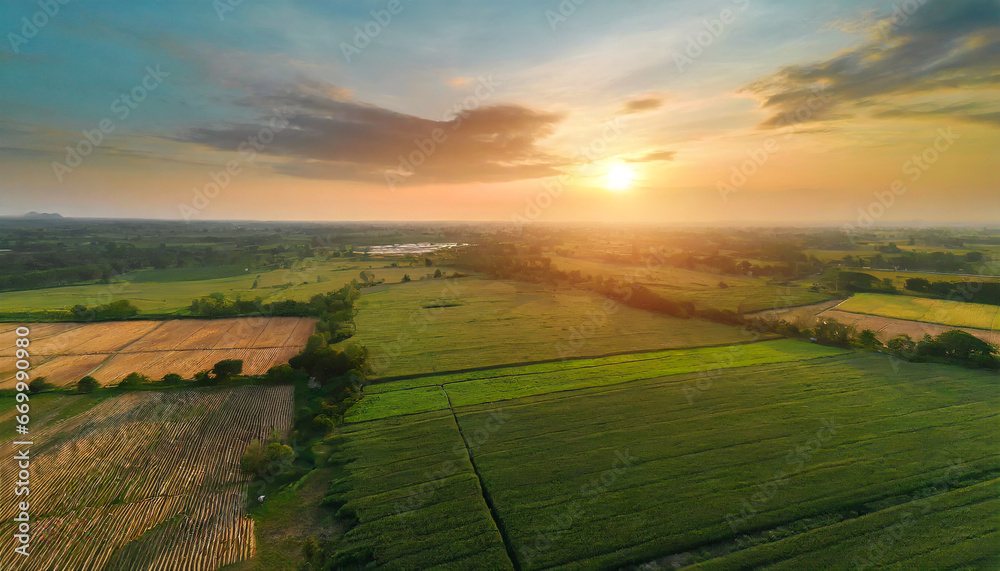 aerial view of verdant agricultural fields in countryside golden sunset over vast rural farmland drone perspective lush green crop stretching to horizon aerial landscape