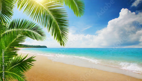 sunny tropical beach with palm leaves and paradise © Nichole