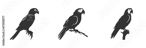Parrot silhouette isolated on a white background. Vector illustration