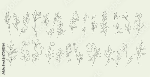 Trees leaf line art design set for coloring book and decoration shape  © @bilkich19852022