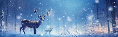Magic Christmas Forest Reindeer Header
