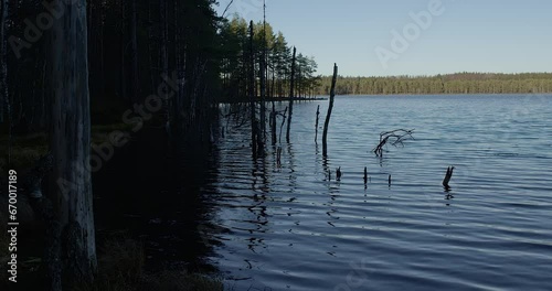 Lake shore view at Komio Nature Reserve in autumn, Loppi Finland. photo