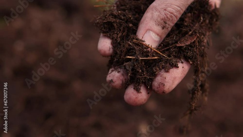 Black soil in man hand. Farmer holding humus in hand close-up. Male hand touching soil on the field. Farmer is checking dirt quality before sowing wheat.  Worker holding soil plowed field.