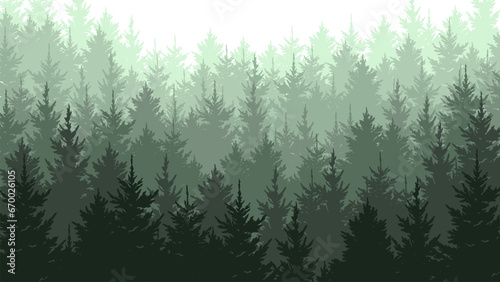 Forest background landscape fir trees pine needles