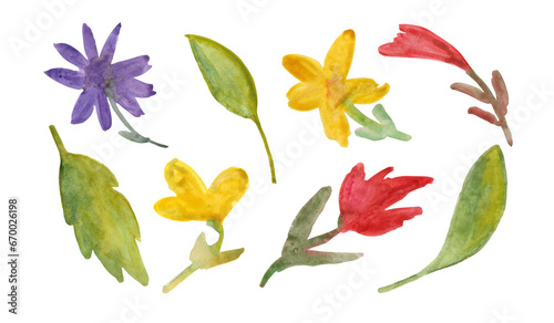 A simple botanical set of watercolor flowers and leaves. A set of wild flowers © Margarita